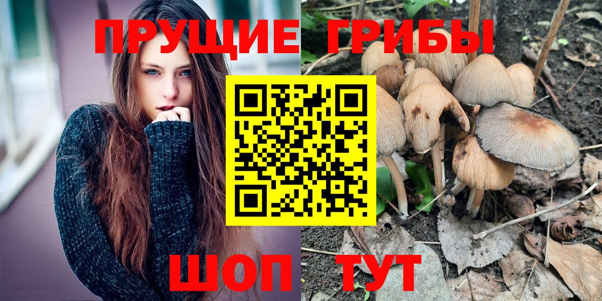 Галлюциногенные грибы Magic Shrooms  Вход с VPN  Моздок 