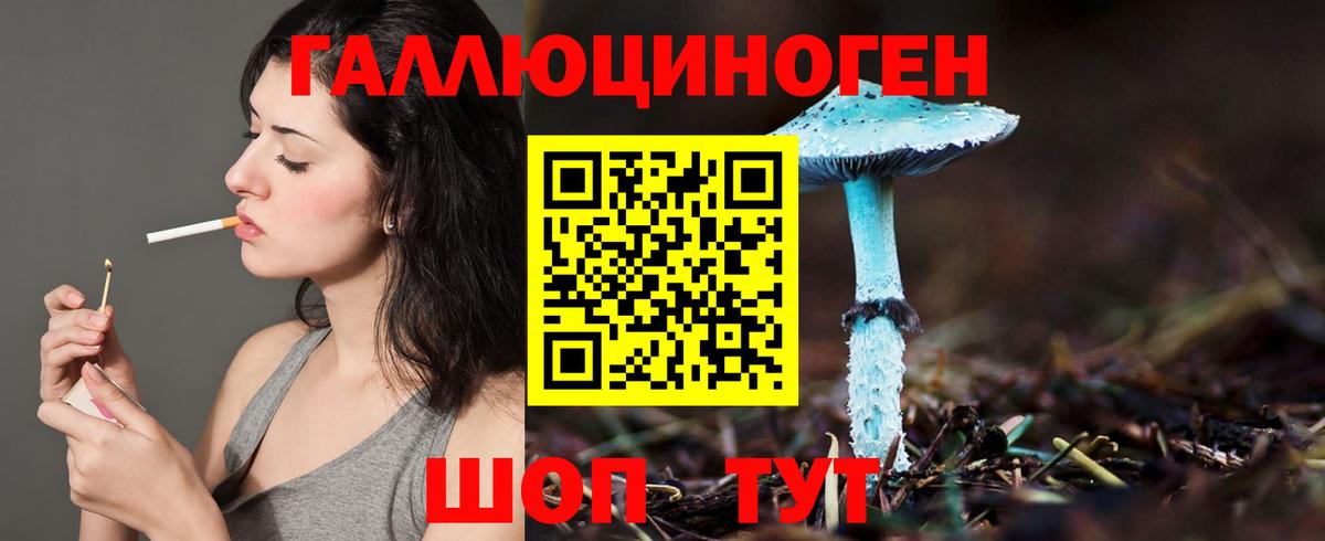 Галлюциногенные грибы GOLDEN TEACHER Моздок